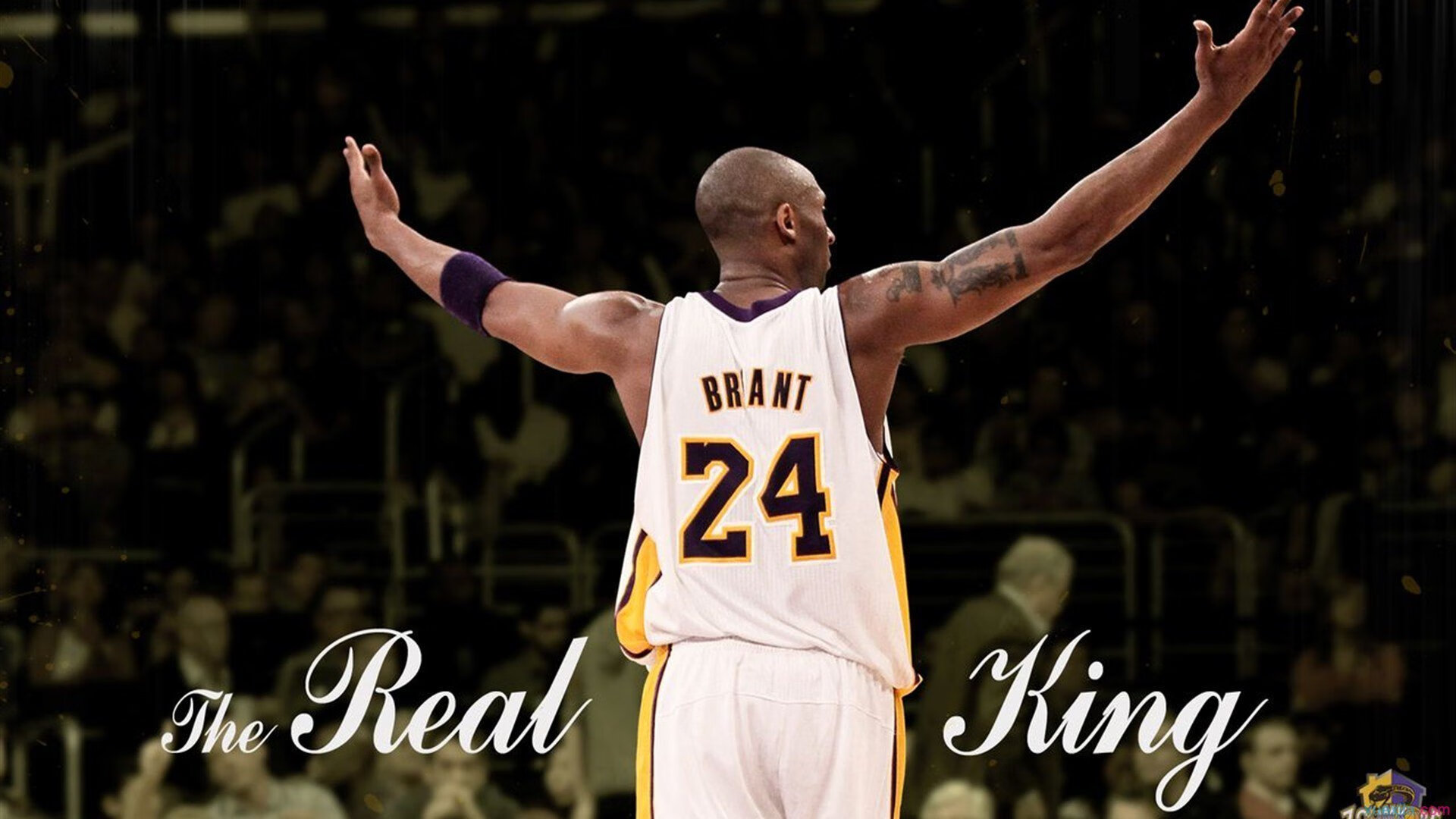 冰球联赛激战正酣，豪强争霸，新星闪耀，季后赛席位争夺白热化