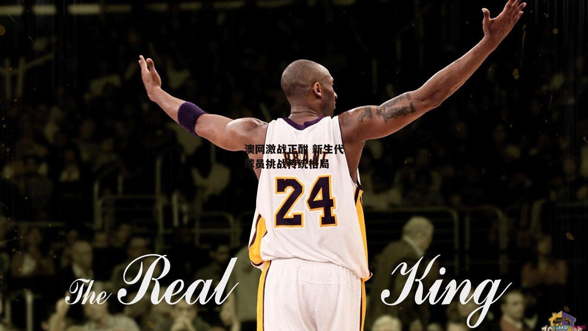 澳网激战正酣 新生代球员挑战传统格局