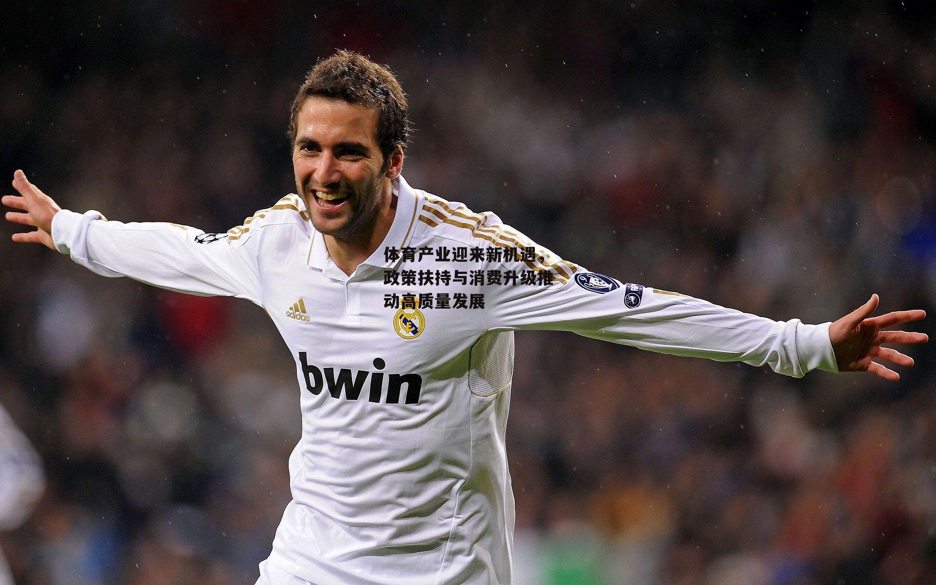 体育产业迎来新机遇,政策扶持与消费升级推动高质量发展